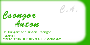 csongor anton business card